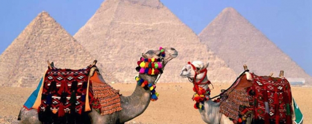 Camel Ride,Pyramids